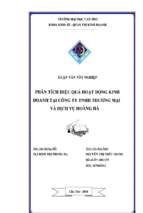 Luận văn Phân tích hiệu quả hoạt động kinh doanhtại công ty TNHH thương mại và dịch vụ Hoàng Hà