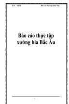 Báo cáo Thực tập xưởng bia Bắc Âu