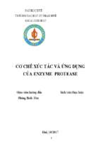 Cơ chế xúc tác và ứng dụng của enzyme protease