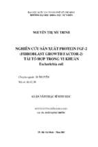Nghiên cứu sản xuất protein fgf 2 tái tổ hợp trong vi khuẩn escherichia coli