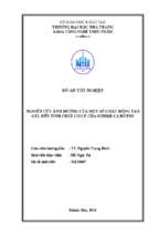 Nghiên cứu ảnh hưởng của một số chất đồng tạo gel đến tính chất cơ lý của surimi cá rô phi