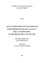 Nghiên cứu tính kháng và cơ chế kháng thuốc của cỏ lồng vực nước (echinochloa crus galli) đối với hoạt chất quinclorac tại đồng bằng sông cửu long .