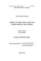 Nghiên cứu kiểu hình và kiểu gen ở bệnh nhi beta thalassmia