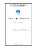 Hoàn thiện công tác kế toán hàng hóa tại công ty cổ phần xnk đức nguyễn
