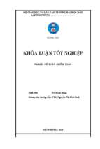 Hoàn thiện công tác kế toán hàng hóa tại công ty tnhh thương mại và dịch vụ kihin