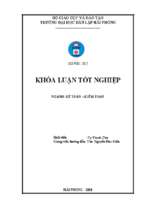 Hoàn thiện tổ chức kế toán doanh thu, chi phí và xác định kết quả kinh doanh tại công ty cổ phần việt nam cmt