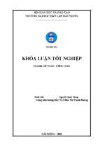 Hoàn thiện công tác lập và phân tích bảng cân đối kế toán tại công ty trách nhiệm hữu hạn hoàng thụy