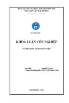 Một số biện pháp nhằm nâng cao hiệu quả hoạt động sản xuất kinh doanh tại công ty tnhh thương mại xếp dỡ dịch vụ vận tải hải long