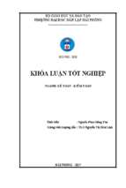 Hoàn thiện công tác kế toán hàng hóa tại công ty tnhh thương mại lô hội tại hải phòng