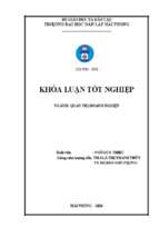 Một số giải pháp marketing nâng cao hiệu quả sản xuất và kinh doanh tại công ty tnhh thương mại đan việt