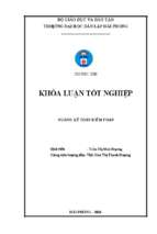 Hoàn thiện công tác lập và phân tích bảng cân đối kế toán tại công ty cổ phần isea