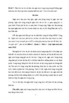 Bt cá nhân số 1 luật tài chính vn   phân tích vai trò chủ đạo của ngân sách trung ương trong hệ thống ngân sách nhà nước theo quy định của pháp luật h
