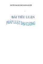 Các biện pháp bảo vệ quyền sở hữu trí tuệ ở việt nam