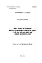 Nghiên cứu hiệu quả của phác đồ amoxicillin clarithromycin   rabeprazol 14 ngày về lâm sàng, nội soi, tiệt trừ helicobacter pylori và mô bệnh học ở cá