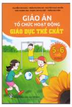 Giáo án tổ chức hoạt động giáo dục thể chất (5 6 tuổi)