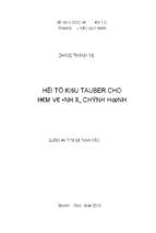 Hội tụ kiểu tauber cho hàm và ánh xạ chỉnh hình