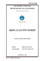 Luận văn môi trường hiện trạng bảo vệ môi trường của một số doanh nghiệp trên địa bàn quận hồng bàng