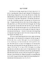 Nghiên cứu nồng độ sắt, ferritin và khả năng gắn sắt toàn phần trong huyết tương ở bệnh nhân bệnh thận mạn tính chưa điều trị thay thế thận