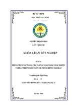 Rủi ro tín dụng trong cho vay tại ngân hàng nông nghiệp và phát triển nông thôn huyện nam đàn