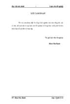 đánh giá thực trạng tài chính và một số giải pháp cải thiện tình hình tài chính tại công ty cổ phần đầu tư hải đường