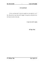 đánh giá thực trạng tài chính và các giải pháp cải thiện tình hình tài chính tại công ty cổ phần sản xuất thép kết cấu và xây dựng thành trung