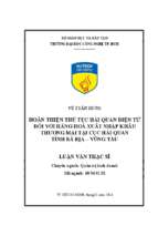 Hoàn thiện thủ tục hải quan điện tử đối với hàng hóa xuất nhập khẩu thương mại tại cục hải quan tỉnh bà rịa   vũng tàu