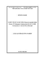 Nghiên cứu đặc điểm sinh vật học, sinh thái học của rệp sáp bột hồng phenacoccus manihoti (matile ferrero, 1977) (homopter pseudococcidaehại sắn và biện pháp quản lý theo hướng tổng hợp