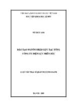 đào tạo nguồn nhân lực tại tổng công ty điện lực miền bắc