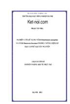 Nghiên cứu sử dụng nấm metarhizium anisopliae và nấm beauveria bassiana phòng chống rệp sáp hại cà phê
