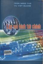Lập mô hình tài chính  trần ngọc thơ, vũ việt quảng