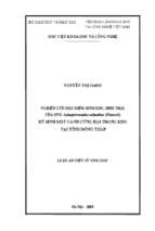 Nghiên cứu đặc điểm sinh học, sinh thái của ong anisopteromalus calandrae (howard) ký sinh mọt cánh cứng hại trong kho tại tỉnh đồng tháp