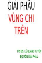 Giải phẫu vùng chi trên.ppt