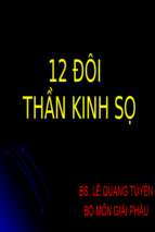 Giải phẫu 12 đôi dây thần kinh sọ.ppt