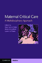 2013 maternal critical care