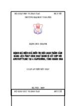 đánh giá hiệu quả điều trị rối loạn trầm cảm bằng liệu pháp kích hoạt hành vi kết hợp với amitriptyline tại 4 xã phường, tỉnh khánh hòa