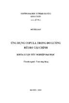 ứng dụng copula trong đo lường rủi ro tài chính