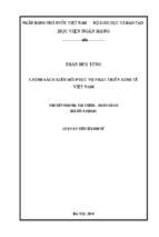 Chính sách kiều hối phục vụ phát triển kinh tế việt nam