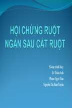 Bài thuyết trình hội chứng ruột ngắn sau cắt ruột   lê tuấn anh