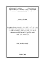Nghiên cứu đặc điểm lâm sàng, cận lâm sàng và hiệu quả điều trị can thiệp nội mạch bệnh động mạch chi dưới mạn tính khu vực dưới gối.