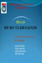 TIỂU LUẬN ĐỘC HỌC CỦA KIM LOẠI NẶNG (Hỗ trợ dowload tài liệu zalo 0587998338)