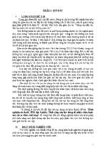 Kinh nghiệm ôn luyện học sinh giỏi lớp 9 phần tính công của lực dùng để nhấm chìm hoặc kéo vật ra khỏi chất lỏng