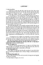 Một số kinh nghiệm hướng dẫn học sinh lớp 6 khai thác các ứng dụng từ một bài toán