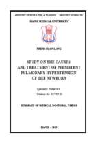 Nghiên cứu nguyên nhân và điều trị tăng huyết áp động mạch phổi dai dẳng ở trẻ sơ sinh tt tiếng anh
