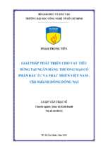 Giải pháp phát triển cho vay tiêu dùng tại ngân hàng thương mại cổ phần đầu tư và phát triển