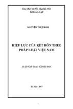 Hiệu lực của kết hôn theo pháp luật việt nam.