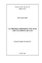 Các hình phạt chính không tước tự do theo luật hình sự việt nam