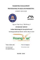 Internship report online marketing for hoangviettravel