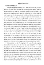 Skkn sử dụng công nghệ thôn tin trong giờ học lịch sử lớp 9 (đồ dùng điện tử trực quan)