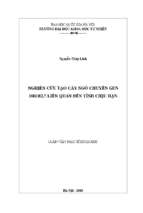 Nghiên cứu tạo cây ngô chuyển gen dreb2.7 liên quan đến tính chịu hạn