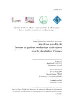 Algorithme parallele dedescente de gradient stochastique multi classes pour la classi cation d'images